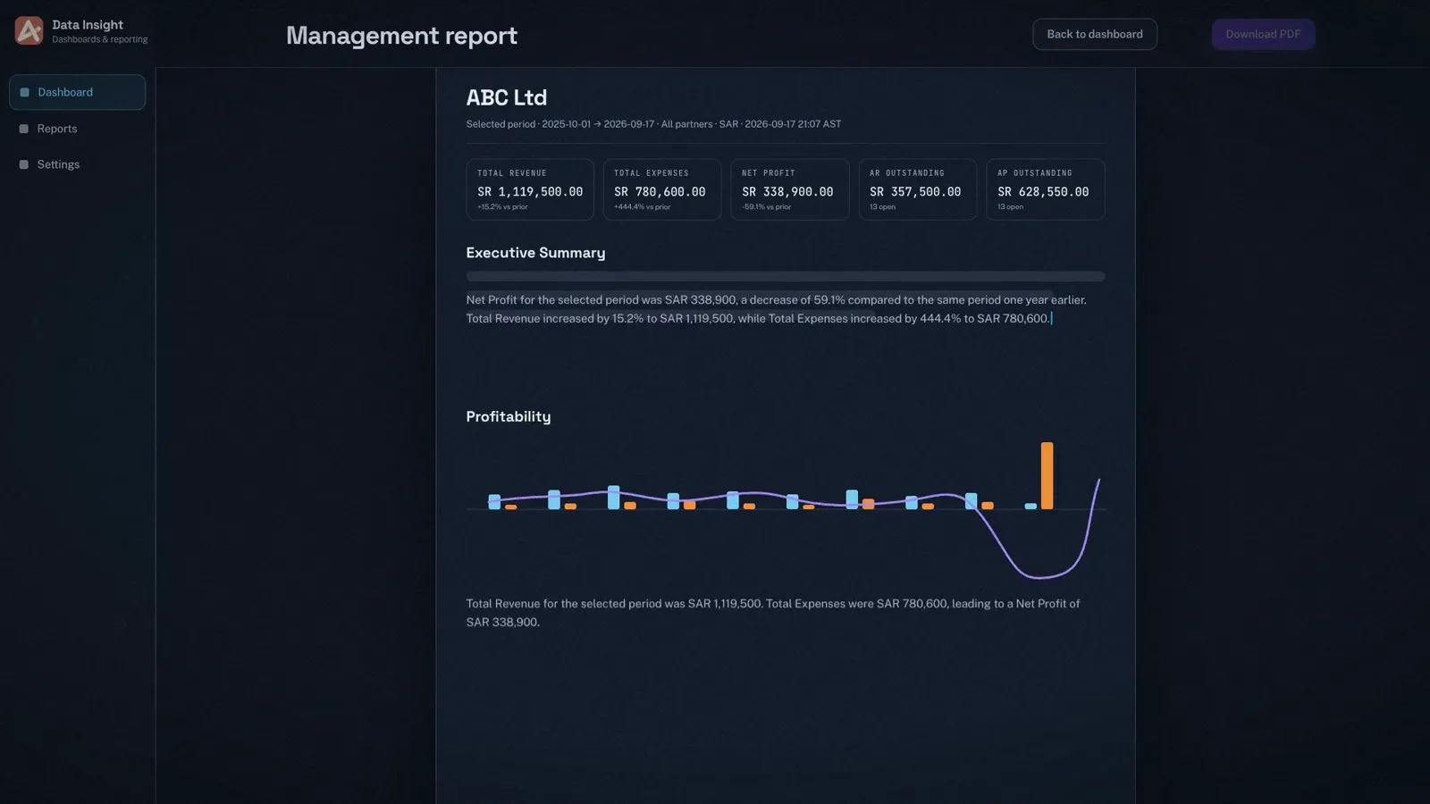 Data Insight management report with key figures, an executive summary written from the numbers and a profitability chart. Demo data.